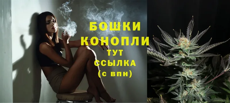 где можно купить   Слободской  Конопля SATIVA & INDICA 